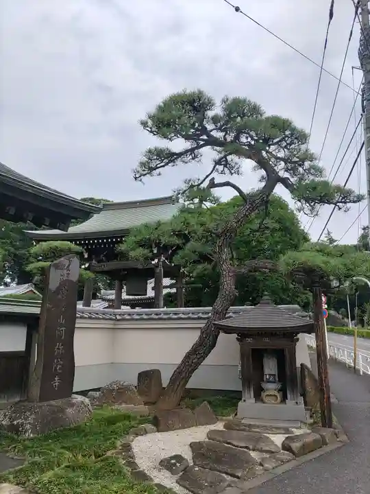 阿彌陀寺(東京都)