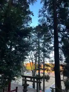 大宮温泉神社(栃木県)(2024年01月31日(水) 08時18分35秒投稿)