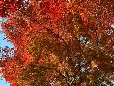 北野天満宮(京都府)
