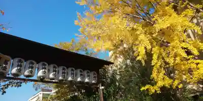 安井金比羅宮のその他建物