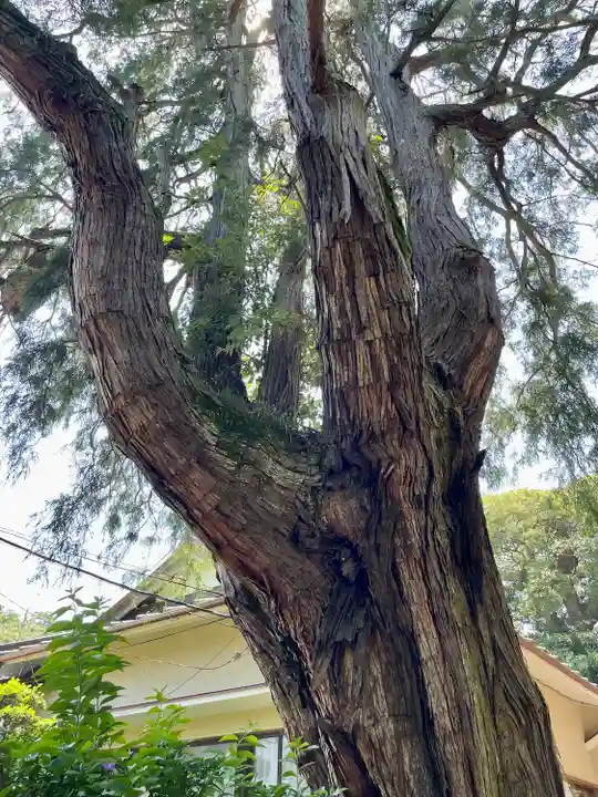 真福寺(神奈川県)