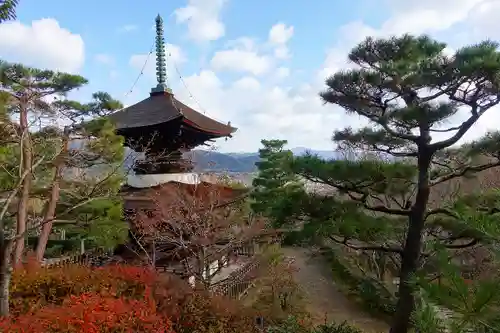 常寂光寺の塔