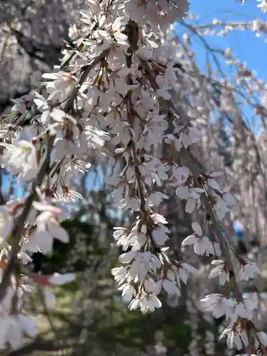 安養寺の{uncategorized: "未分類", other: "その他", undefined: "問題あり", building: "その他建物", grave: "お墓", sacred_gate: "鳥居", guardian: "狛犬", statue: "像", buddha: "仏像", history: "歴史", nature: "自然", garden: "庭園", animal: "動物", pagoda: "塔", temizu: "手水舎", mountain_gate: "山門・神門", sanctuary: "本殿・本堂", subordinate: "末社・摂社", art: "芸術", scenery: "景色", jizo: "地蔵", ema: "絵馬", goshuin: "御朱印", omikuji: "おみくじ", items: "授与品その他", amulet: "お守り", goshuincho: "御朱印帳", eats: "食事", festival: "お祭り", votive_dance: "神楽", shichigosan: "七五三参", wedding: "結婚式", experience: "体験その他", initially: "初詣", around: "周辺", anti_infection: "感染症対策"}
