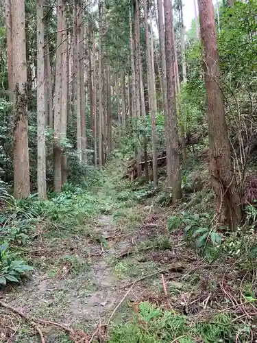 佐室浅野神社の自然