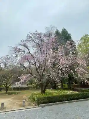鑁阿寺の{uncategorized: "未分類", other: "その他", undefined: "問題あり", building: "その他建物", grave: "お墓", sacred_gate: "鳥居", guardian: "狛犬", statue: "像", buddha: "仏像", history: "歴史", nature: "自然", garden: "庭園", animal: "動物", pagoda: "塔", temizu: "手水舎", mountain_gate: "山門・神門", sanctuary: "本殿・本堂", subordinate: "末社・摂社", art: "芸術", scenery: "景色", jizo: "地蔵", ema: "絵馬", goshuin: "御朱印", omikuji: "おみくじ", items: "授与品その他", amulet: "お守り", goshuincho: "御朱印帳", eats: "食事", festival: "お祭り", votive_dance: "神楽", shichigosan: "七五三参", wedding: "結婚式", experience: "体験その他", initially: "初詣", around: "周辺", anti_infection: "感染症対策"}