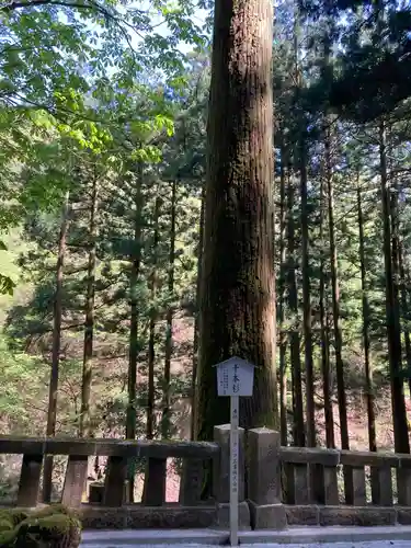 榛名神社(群馬県)