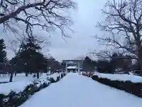 札幌護國神社の鳥居