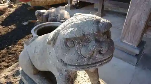 横瀬八幡神社の狛犬