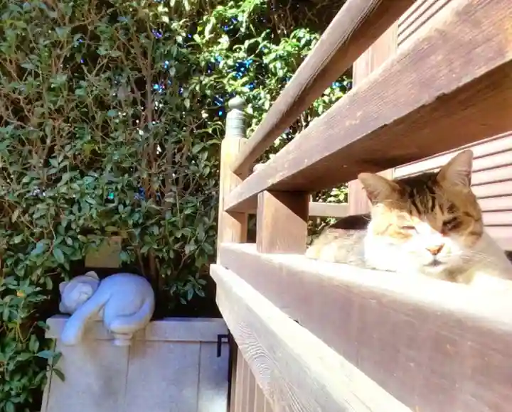 荻窪白山神社(東京都)