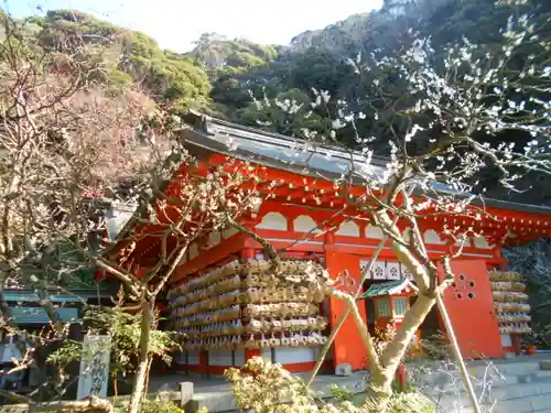 荏柄天神社の自然