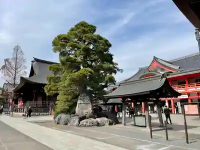 高幡不動尊　金剛寺(東京都)