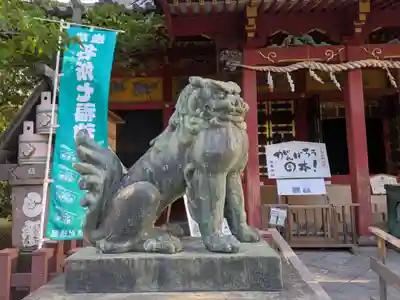 浅草神社の狛犬