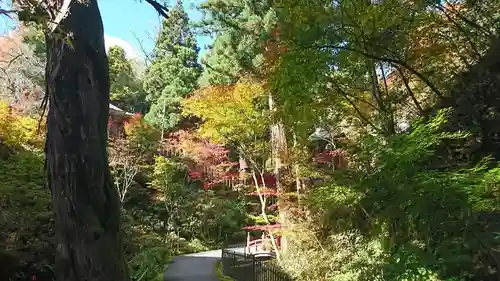 大正寺(中野不動尊)のその他建物