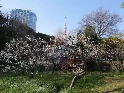 芝東照宮の自然