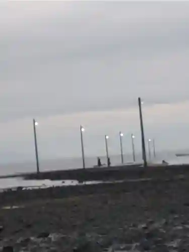 大魚神社(佐賀県)