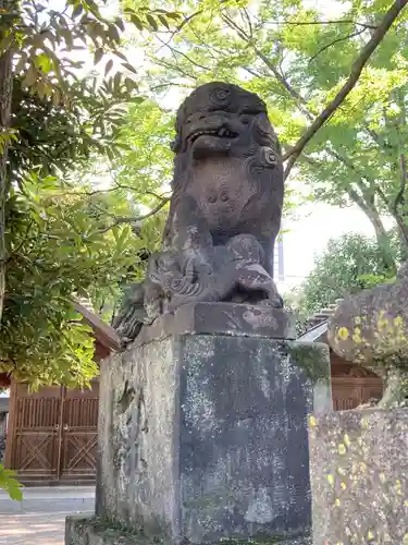 富岡八幡宮の狛犬