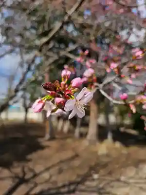 美幌神社(北海道)