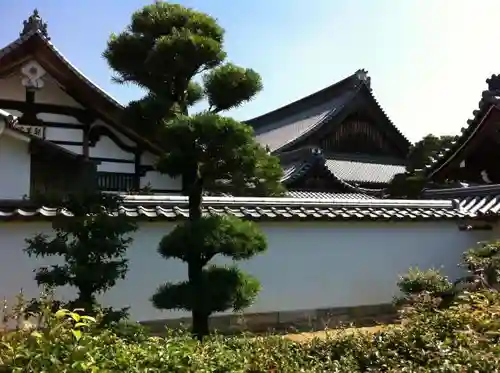 妙心寺（妙心禅寺）のその他建物