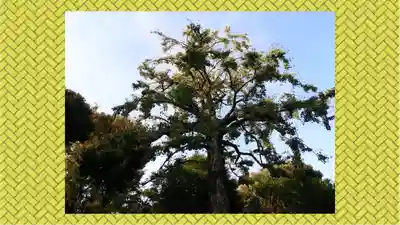 七社神社(東京都)