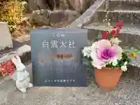 このみ白雲大社の{uncategorized: "未分類", other: "その他", undefined: "問題あり", building: "その他建物", grave: "お墓", sacred_gate: "鳥居", guardian: "狛犬", statue: "像", buddha: "仏像", history: "歴史", nature: "自然", garden: "庭園", animal: "動物", pagoda: "塔", temizu: "手水舎", mountain_gate: "山門・神門", sanctuary: "本殿・本堂", subordinate: "末社・摂社", art: "芸術", scenery: "景色", jizo: "地蔵", ema: "絵馬", goshuin: "御朱印", omikuji: "おみくじ", items: "授与品その他", amulet: "お守り", goshuincho: "御朱印帳", eats: "食事", festival: "お祭り", votive_dance: "神楽", shichigosan: "七五三参", wedding: "結婚式", experience: "体験その他", initially: "初詣", around: "周辺", anti_infection: "感染症対策"}