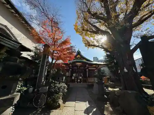 秋葉神社(東京都)