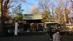 淨眞寺の山門