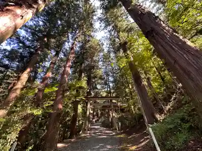 田沢神明宮(長野県)