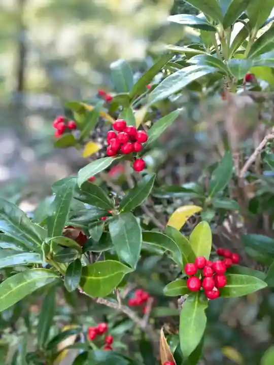 金毘羅社の自然