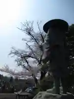 真光寺(千葉県)