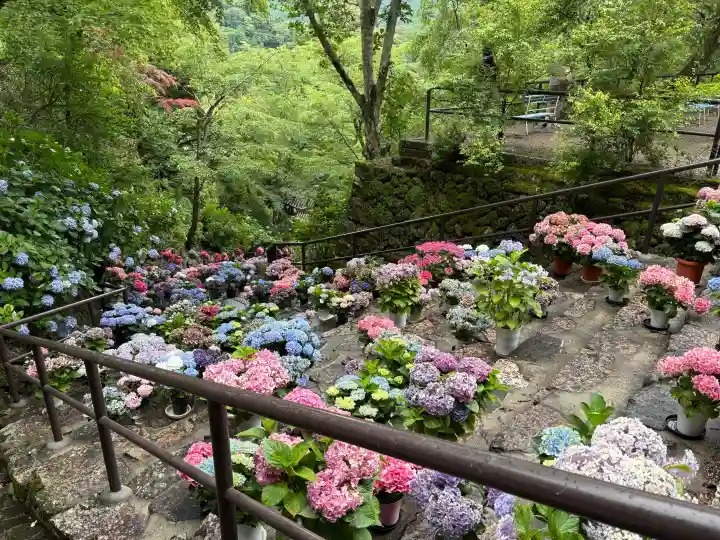 長谷寺(奈良県)