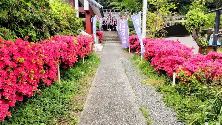 武州白子熊野神社(埼玉県)