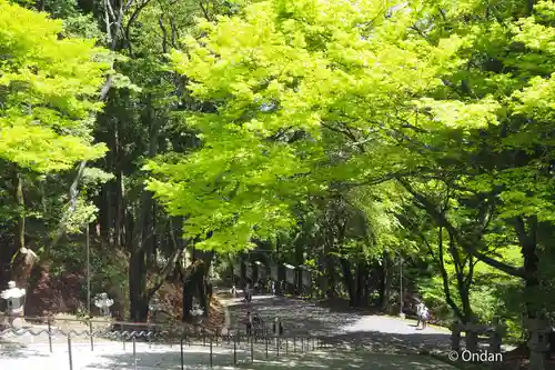 比叡山延暦寺(滋賀県)