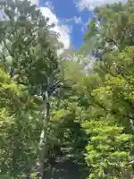 葛城一言主神社(奈良県)