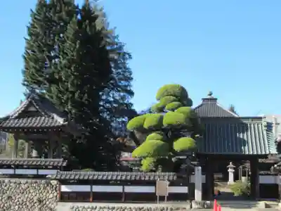 金剛寺(東京都)