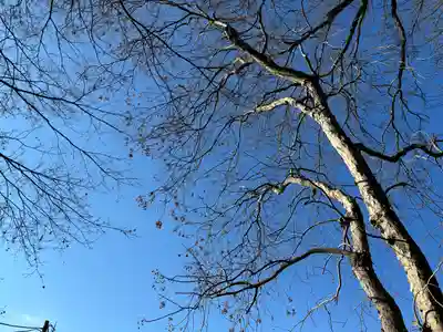 赤城神社(千葉県)