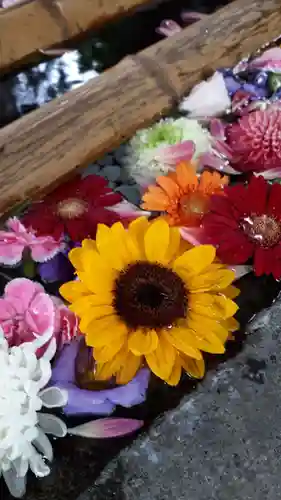 札幌護國神社の手水舎