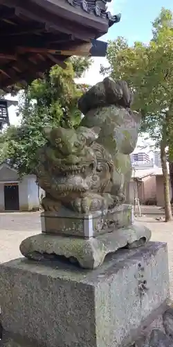 御霊神社の狛犬