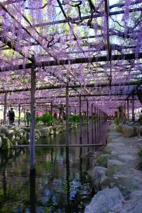 津島神社の周辺