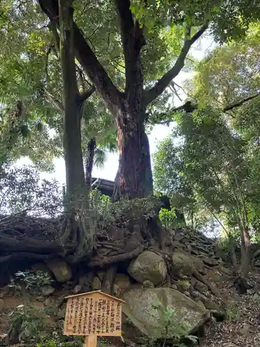 五所駒瀧神社(茨城県)