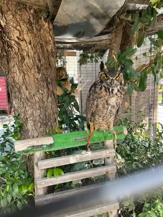 宮地嶽神社の{uncategorized: "未分類", other: "その他", undefined: "問題あり", building: "その他建物", grave: "お墓", sacred_gate: "鳥居", guardian: "狛犬", statue: "像", buddha: "仏像", history: "歴史", nature: "自然", garden: "庭園", animal: "動物", pagoda: "塔", temizu: "手水舎", mountain_gate: "山門・神門", sanctuary: "本殿・本堂", subordinate: "末社・摂社", art: "芸術", scenery: "景色", jizo: "地蔵", ema: "絵馬", goshuin: "御朱印", omikuji: "おみくじ", items: "授与品その他", amulet: "お守り", goshuincho: "御朱印帳", eats: "食事", festival: "お祭り", votive_dance: "神楽", shichigosan: "七五三参", wedding: "結婚式", experience: "体験その他", initially: "初詣", around: "周辺", anti_infection: "感染症対策"}
