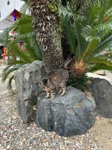 龍泉寺(愛知県)