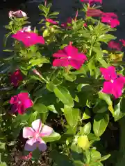 潮見ヶ岡神社の自然