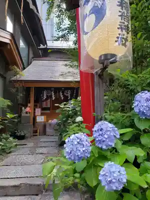 五十稲荷神社(栄寿稲荷神社)(東京都)