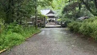 秦神社(高知県)