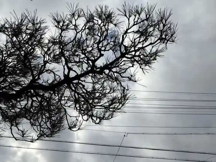 西方山極楽寺(岐阜県)