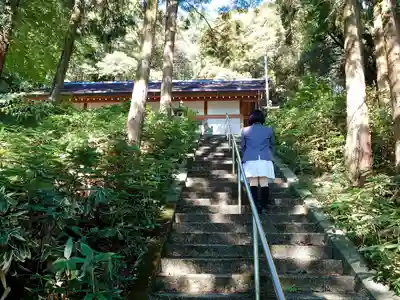 八幡神社（喜多町）の本殿・本堂