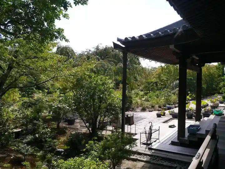 法金剛院の庭園