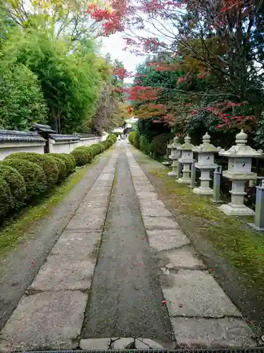 隨心院（随心院）のその他建物