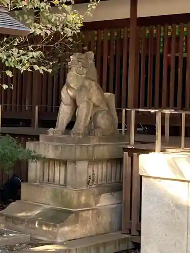 乃木神社の狛犬