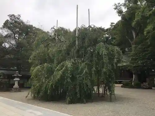 大國魂神社の自然